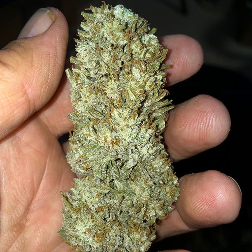 Close up of a man holding Jam5 smokable nug.